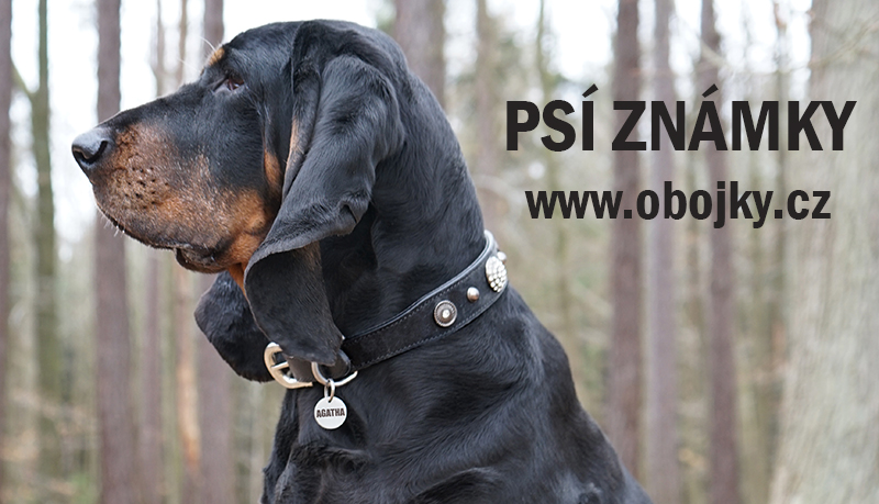 Agatha psi znamka text w